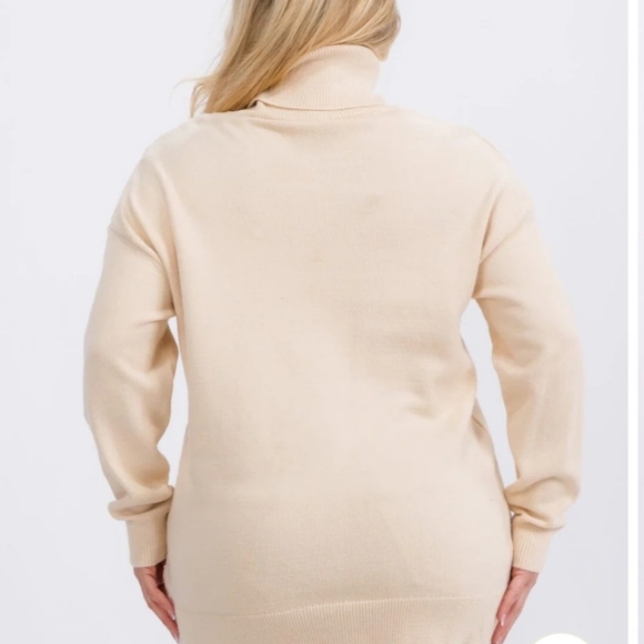 Cream Turtleneck Sweater XL, 1X, 2X - Picture 5 of 5